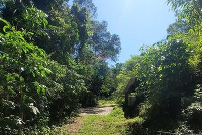 /international/br/103-siriuba-1-ilhabela-sao-paulo-310100386892/?lang=zh-cn