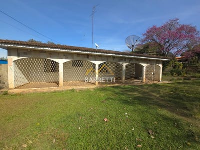 /international/br/185-arthur-semmler-tietz-piracicaba-sao-paulo-310104597502/