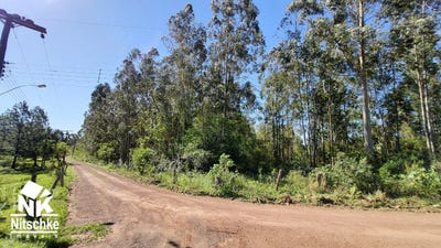 /international/br/ers-020-taquara-rio-grande-do-sul-310100936725/