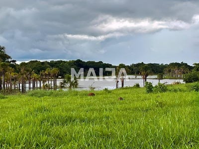 /international/br/farm-goias-2-050-ha-rio-verde-mato-grosso-310106707762/