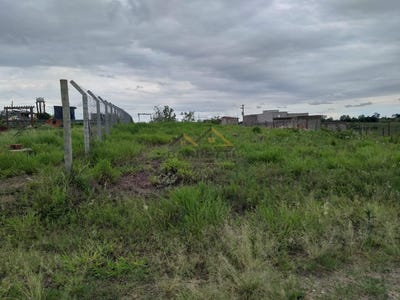 /international/br/2-francisco-perez-gonzales-piracicaba-sao-paulo-310100913149/