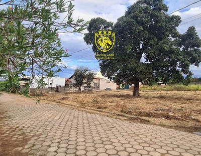 /international/br/444-avenida-wenceslau-brandao-augusto-de-lima-minas-gerais-310101286941/