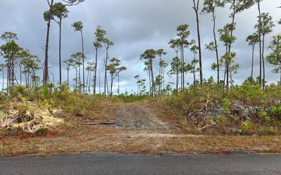 /international/bs/chesapeake-lot-24-grand-bahama-freeport-310101247199/?lang=zh-cn