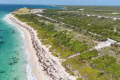 /international/bs/jacks-bay-club-lot-eleuthera-south-eleuthera-310101203128/?lang=zh-cn