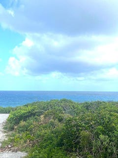 /international/bs/buckley-s-lot-long-island-long-island-310107424772/