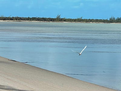 /international/bs/wemyss-long-island-long-island-long-island-310094479357/