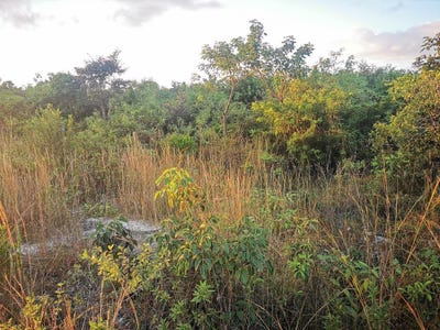 /international/bs/9-acre-lot-off-carmichael-rd-new-providence-paradise-island-310101272925/?lang=es