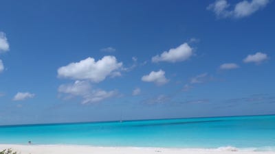 /international/bs/jmq8-xg-long-island-long-island-310106857607/