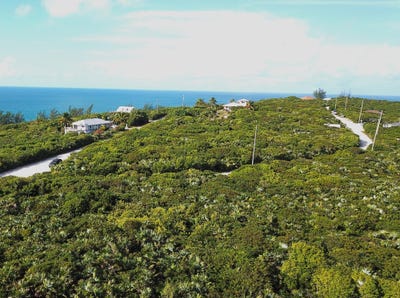 /international/bs/queen-s-highway-eleuthera-south-eleuthera-310101510085/?lang=zh-cn