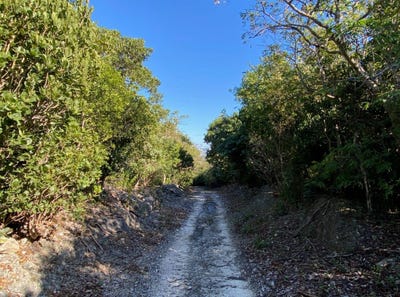 /international/bs/s-c-bootle-highway-abaco-abaco-central-abaco-310108456849/