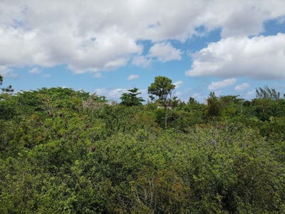 /international/bs/lot-2-san-salvador-san-salvador-san-salvador-310101181824/?lang=en