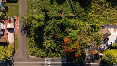 /international/bs/lot-15-tropical-gardens-rd-new-providence-paradise-island-310098532200/?lang=zh-tw