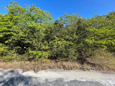 /international/bs/bahama-sound-lot-1218-exuma-exuma-cays-exuma-exuma-cays-310108039786/