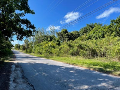 /international/bs/current-eleuthera-north-eleuthera-310101926493/
