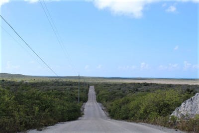 /international/bs/4239-83-long-island-long-island-310107577176/