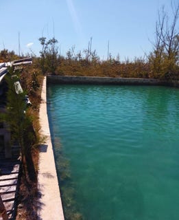 /international/bs/bristol-bay-subdivision-unit-u1b1l5-grand-bahama-freeport-grand-bahama-freeport-310107041871/