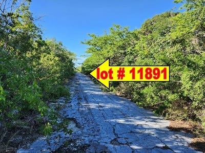 /international/bs/f782-p7-exumas-exuma-310108515652/?lang=it