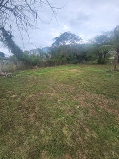 /international/bs/lot-15-tropical-gardens-rd-new-providence-paradise-island-310098532200/?lang=zh-cn