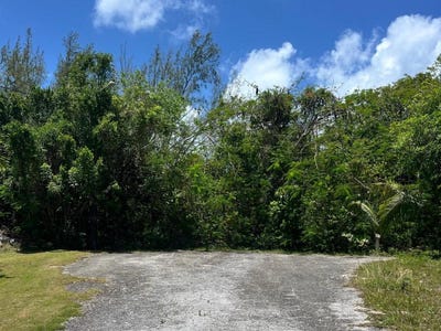 /international/bs/s-ocean-village-lot-new-providence-paradise-island-new-providence-paradise-island-310108620022/?lang=fr