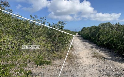 /international/bs/3-acres-turnbull-hilltop-long-island-long-island-310105940937/