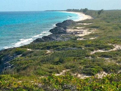 /international/bs/cove-boulevard-nassau-new-providence-310103088712/