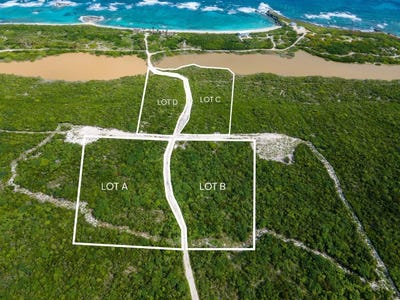 /international/bs/4-895-acres-mckanns-long-island-long-island-310106684217/