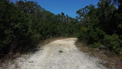 /international/bs/queens-highway-in-dumfrie-cat-island-cat-island-310107425584/