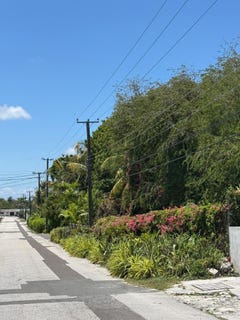/international/bs/stapledon-gardens-new-providence-paradise-island-new-providence-paradise-island-310107768156/