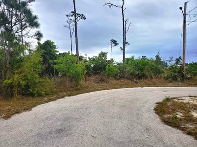 /international/bs/arden-forest-lot-49-unit-5-grand-bahama-freeport-310098147776/?lang=en