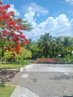 /international/bs/chancery-lane-off-eastern-lot-49-new-providence-paradise-island-new-providence-paradise-island-310104262695/