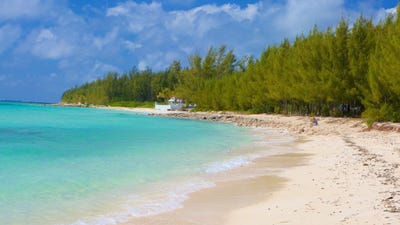 /international/bs/cadwallader-jones-drive-unit-205-grand-bahama-freeport-grand-bahama-freeport-310107444918/