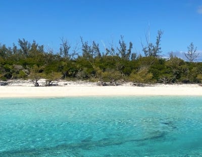 /international/bs/unnamed-road-bimini-bimini-310101105795/?lang=zh-tw