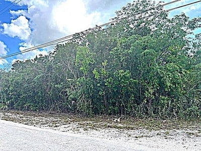 /international/bs/2-acre-parcel-long-island-long-island-310106285352/