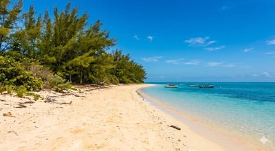 /international/bs/beachfront-mangrove-cay-andros-central-andros-310108310027/