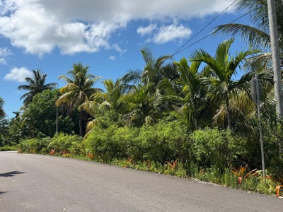 /international/bs/stapledon-gardens-new-providence-paradise-island-new-providence-paradise-island-310107646861/