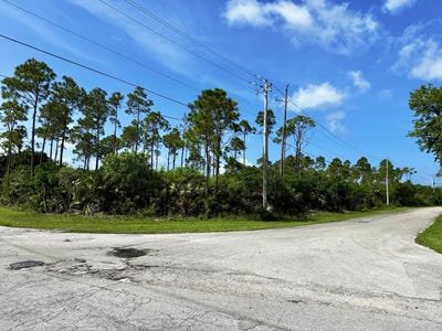 /international/bs/lot-1-bahamia-north-grand-bahama-freeport-310100951224/?lang=zh-cn