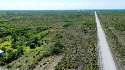 /international/bs/tract-98-grand-bahama-hi-grand-bahama-freeport-310101042948/?lang=zh-cn