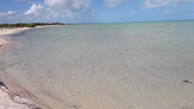 /international/bs/parcel-b-masons-bay-acklins-acklins-310108484913/