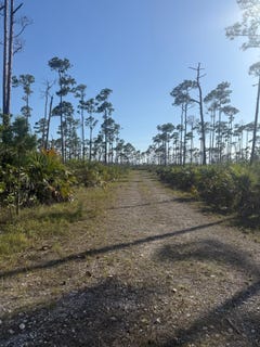 /international/bs/grasmere-drive-freeport-unit-2-grand-bahama-freeport-grand-bahama-freeport-310108325723/