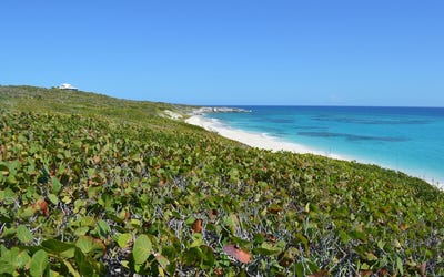 /international/bs/lot-4b1-staniel-cay-rdg-exuma-exuma-cays-exuma-exuma-cays-310106245865/