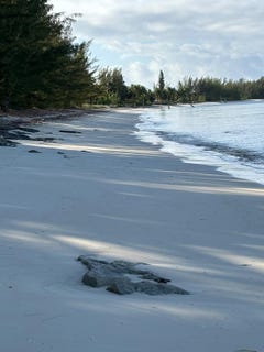 /international/bs/5-acres-in-sandy-point-a-abaco-central-abaco-310101926408/