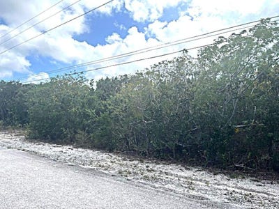 /international/bs/queen-s-highway-miley-long-island-long-island-310106246010/