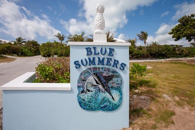 /international/bs/blue-summer-abaco-central-abaco-310103605509/
