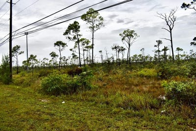 /international/bs/lincoln-park-lot-grand-bahama-freeport-310097232337/?lang=fr