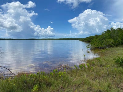 /international/bs/n-palmetto-point-ele-eleuthera-north-eleuthera-310102742966/