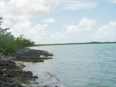 /international/bs/waterfront-parcel-long-island-long-island-310107812523/