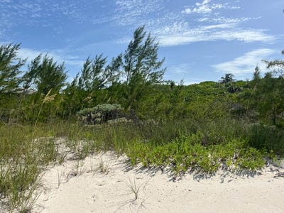 /international/bs/unnamed-road-great-harbour-cay-berry-islands-310094122265/