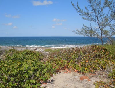 /international/bs/unnamed-road-whale-point-estates-north-eleuthera-310099356283/