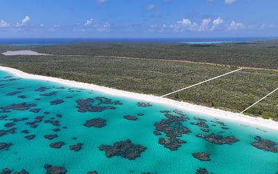 /international/bs/prime-beachfront-acreage-cat-island-cat-island-310107297415/