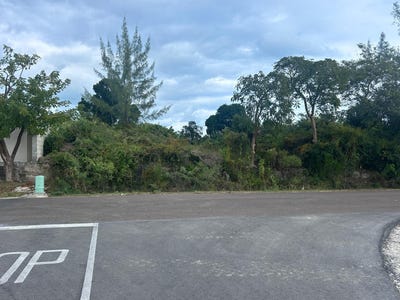 /international/bs/lot-399-twynam-heights-new-providence-paradise-island-new-providence-paradise-island-310108992360/